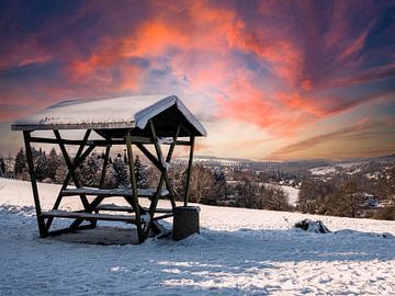 Uit in het winterse Vogtland van Animaflora PicsStock