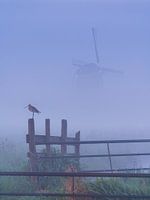 Alphen aan den Rijn - Molenviergang Aarlanderveen - Grutto