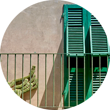 Groene luiken en cactus op balkon in Toscane van Dick de Gelder