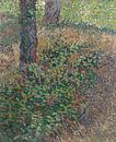 Vincent van Gogh, Unterholz von 1000 Schilderijen Miniaturansicht