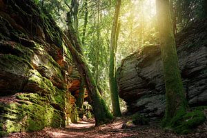 Felsenland in der Südeifel, Rheinland-Pfalz, Deutschland
