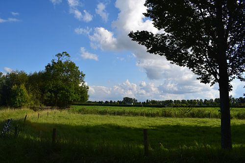 What means the clouds