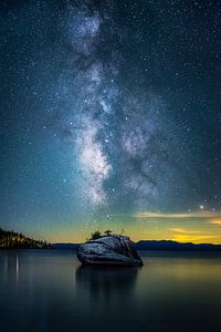 Bonsai Rock Milky Way, Jiong Chen van 1x