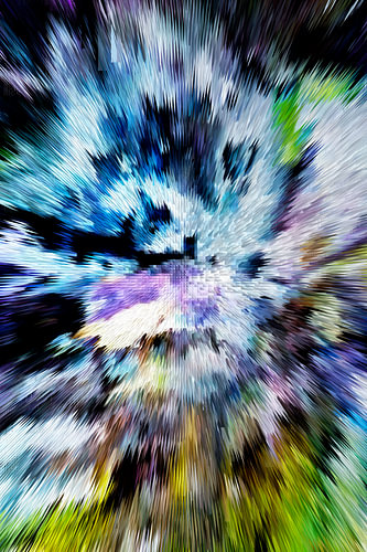 Art numérique