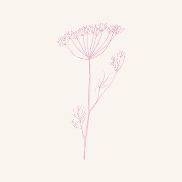 Romantic botanical drawing in neon pink on white no. 7 by Dina Dankers