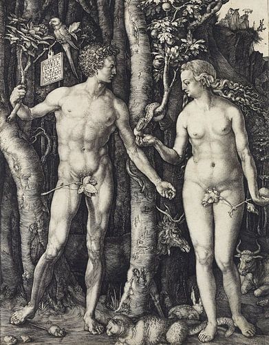 Albrecht Dürer. Adam en Eva