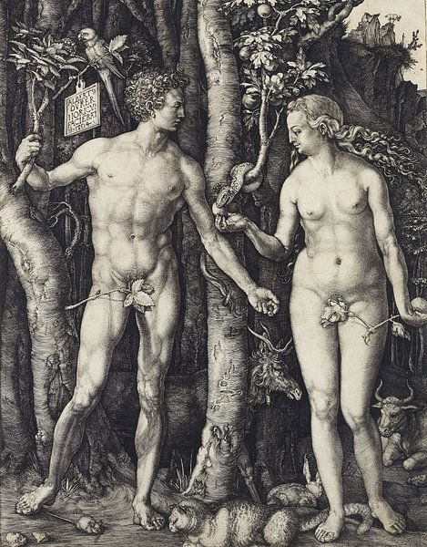 Albrecht Dürer.Adam und Eva von 1000 Schilderijen