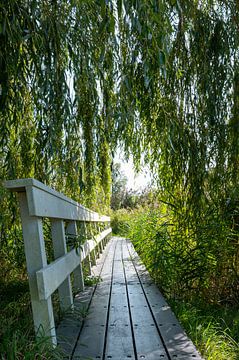 Veldpark Zaandam van Peter Bartelings