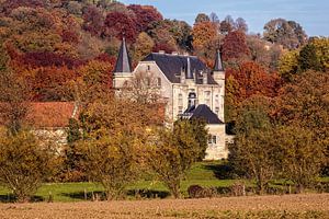 Schloss Schaloen