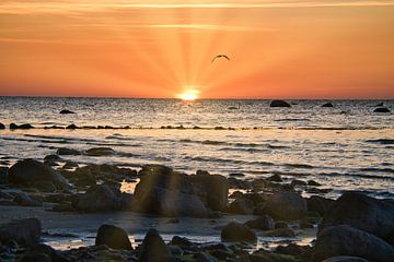 Sonnenuntergang am Strand von Poel, romantisch von Martin Köbsch