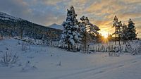 Norwegen, Sonnenaufgang van Michael Schreier thumbnail