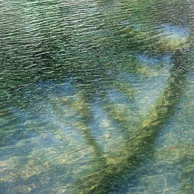 Un été de rêve au bord du lac sur Adriana Müller
