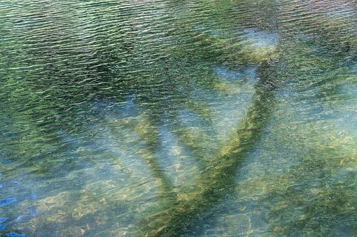A wonderful summer by the lake