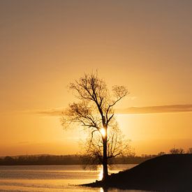 Lever de soleil 1 sur René Jonkhout