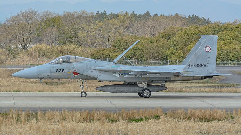 Le McDonnell Douglas F-15J Eagle japonais. par Jaap van den Berg