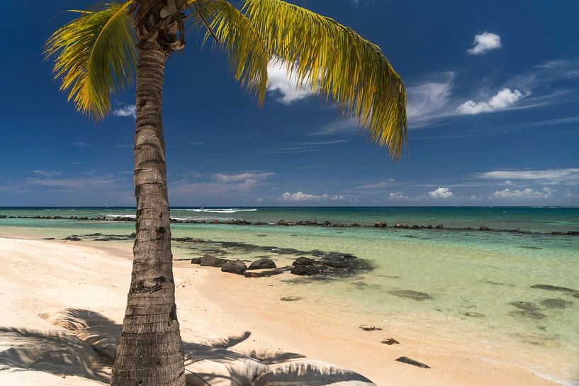 Traumstrand Mauritius von Peter Schickert