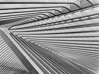 Abstracte en herhalende patronen op het treinstation van Luik (Gare de Liège-Guillemins)