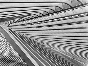 Abstracte en herhalende patronen op het treinstation van Luik (Gare de Liège-Guillemins) van John Trap