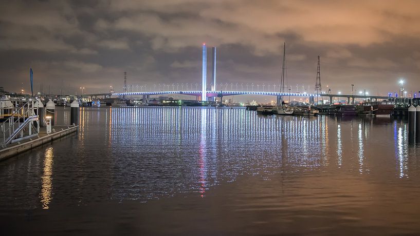 Bolte Bridge van Pieter van der Zweep