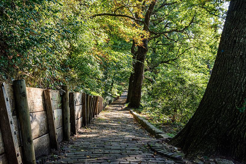 Footpath in Arnhem by PvdH Fotografie