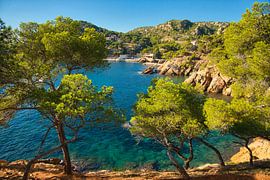 Coastal landscape of the Camargue in southern France by Tanja Voigt