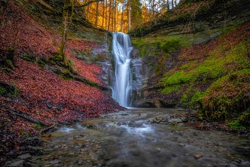 FOREST WATERFALL by Simon Schuhmacher