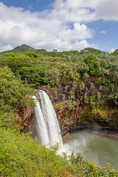 Opaeka'a watervallen - Kaua'i (Hawaii) van t.ART