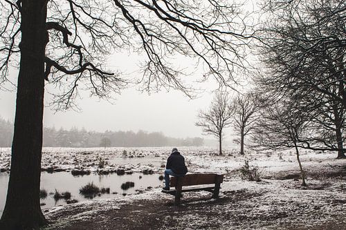 Winter landschap in Nederland op de Utrechtse heuvelrug