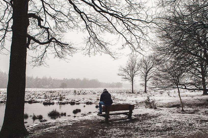 Winterlandschaft in den Niederlanden auf dem Utrechter Höhenrücken von Peter Haastrecht, van