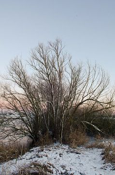 Winter van Paul de Vos