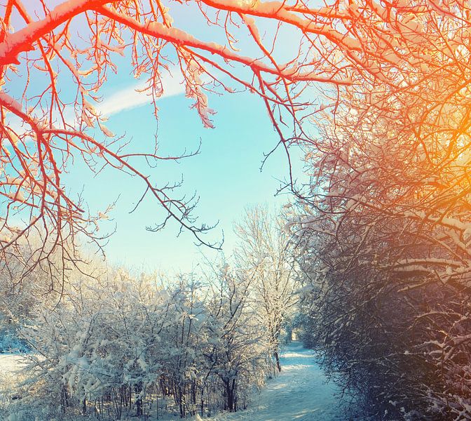 Winter landscape by Bo Valentino