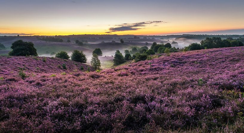 De Posbank net voor zonsopkomst par Patrick Rodink