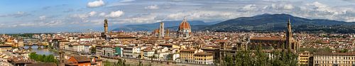 Uitzicht over Florence