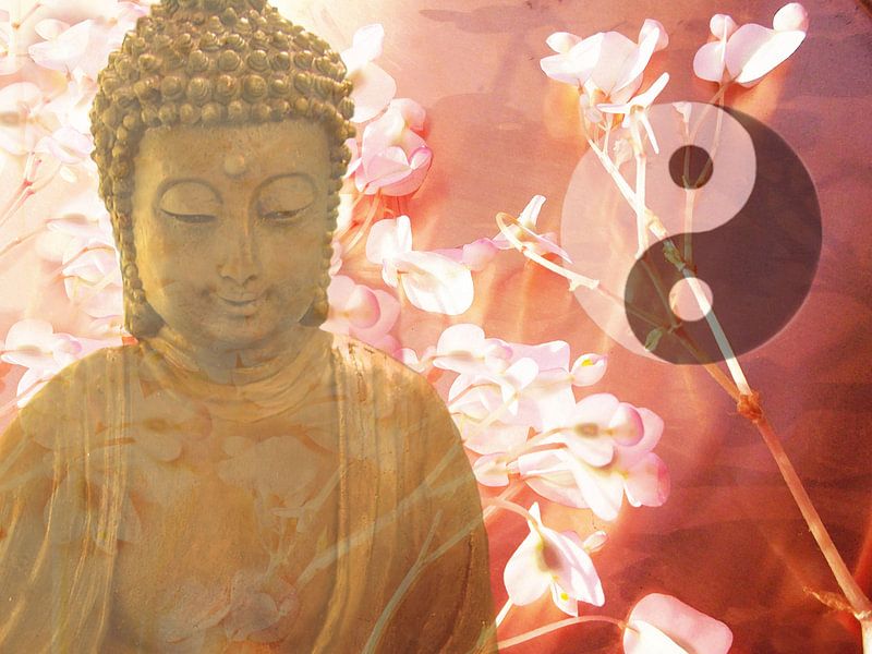Boeddha - Aziatische filosofie van Heidemarie Andrea Sattler