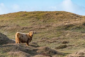 Salle des ampoules du Highlander Texel sur Texel360Fotografie Richard Heerschap