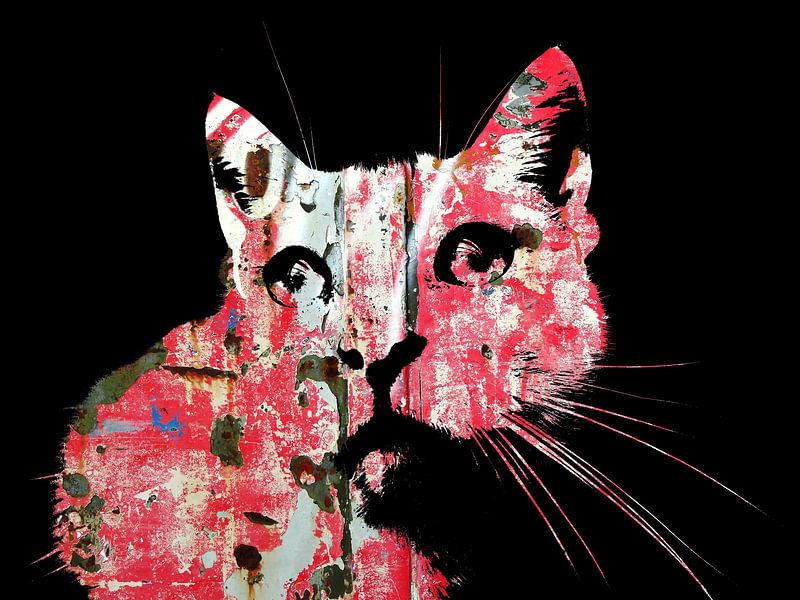 Kattenkunst - Indy 4 by MoArt (Maurice Heuts)