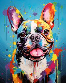 Bulldog vivant Joy sur Dado