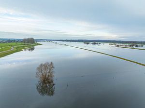 Hochwasser der IJssel mit hohen Wasserständen in den Überschwemmungsgebieten
