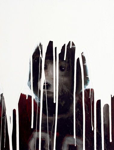 Football Poodle von Henk de Vries