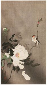 Ohara Koson - Schwalbe und Pfingstrose (bearbeitet)