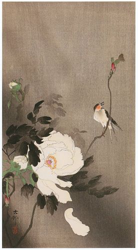 Ohara Koson - Schwalbe und Pfingstrose (bearbeitet)