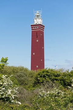 Lighthouse Westhoofd in Ouddorp Vertical sur Charlene van Koesveld