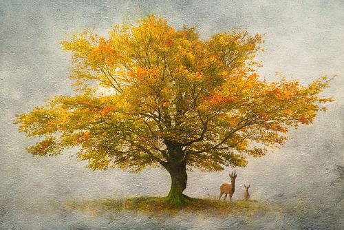 Boom op papier - een foto