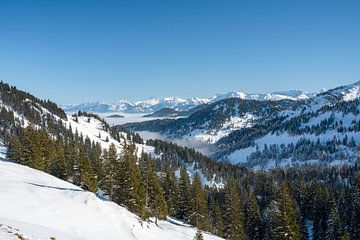 Winterlicher Blick vom Hochgrat auf die Allgäuer Hochalpen von Leo Schindzielorz