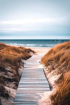 Duinen Melodie van ByNoukk