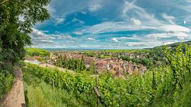 A village in the middle of the vineyards, Ribeauville, Alsace, France by Rene van der Meer