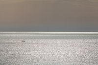 Alleen met z'n tweetjes.