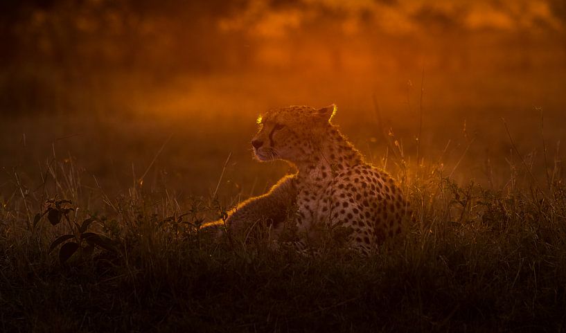 Sunrise at Masai Mara! van Robert Kok