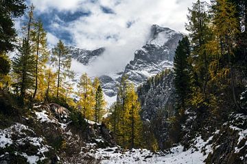 Eerste sneeuw in de Beierse Alpen bij Königssee van Daniel Gastager