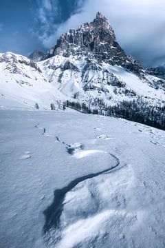 Een winterse dag op de Passo Rolle van Daniel Gastager